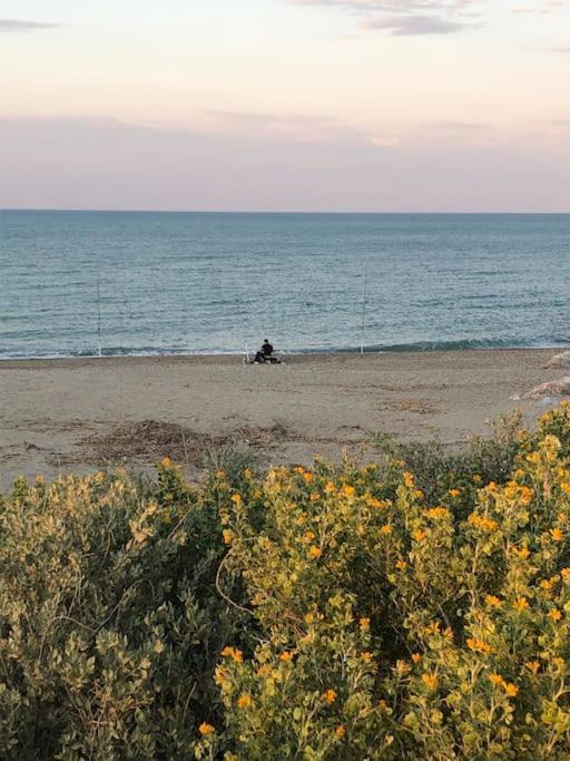 Logement Plage سان سيبريان المظهر الخارجي الصورة