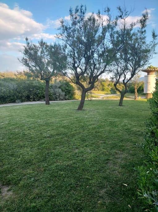 Logement Plage سان سيبريان المظهر الخارجي الصورة
